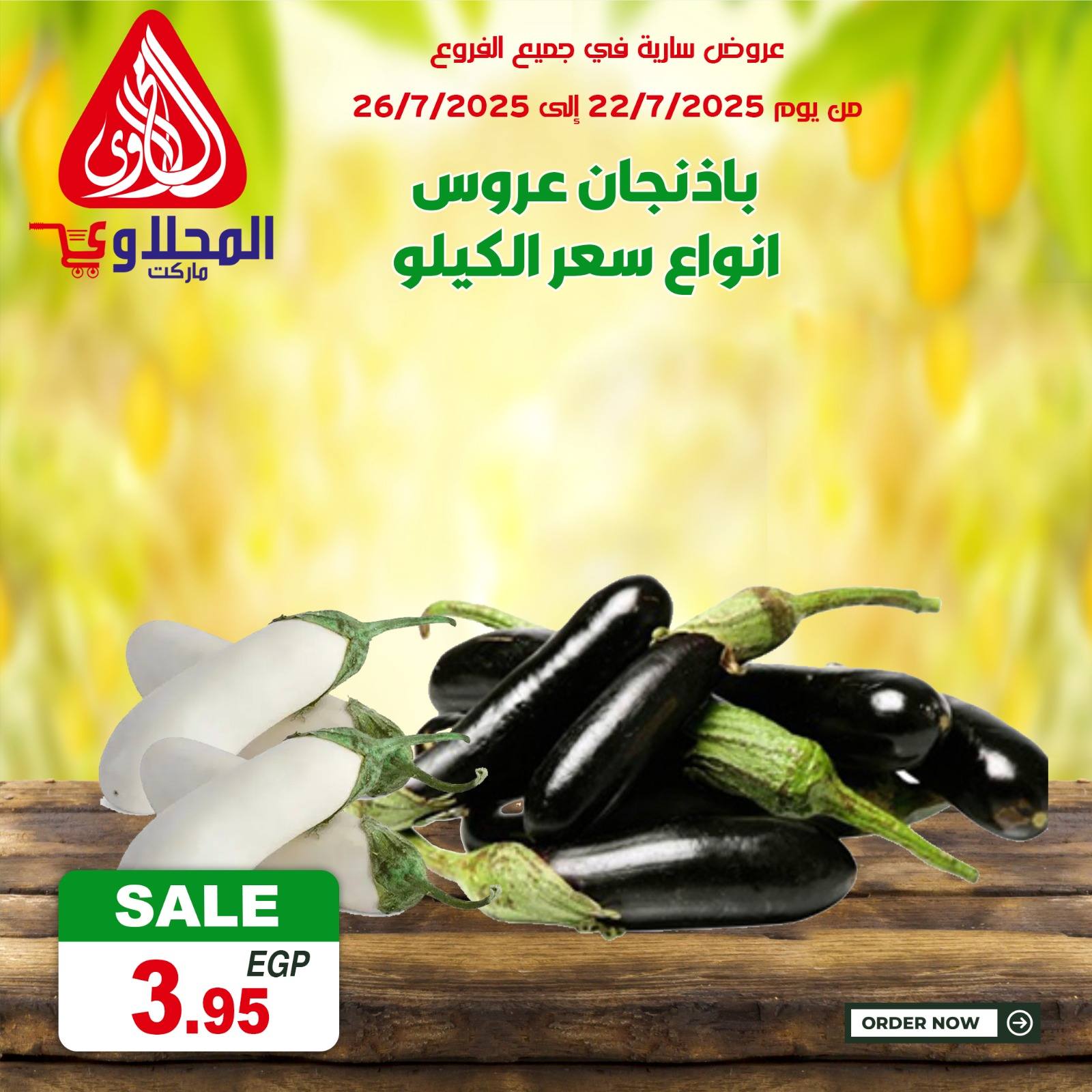 el-mahallawy offers from 22jul to 2jun 2025 عروض المحلاوي من 22 يوليو حتى 2 يونيو 2025 صفحة رقم 3